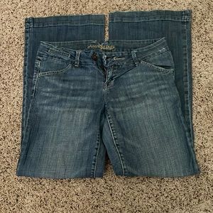 American Eagle Trousers